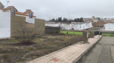 Imatge 2 de l'anunci