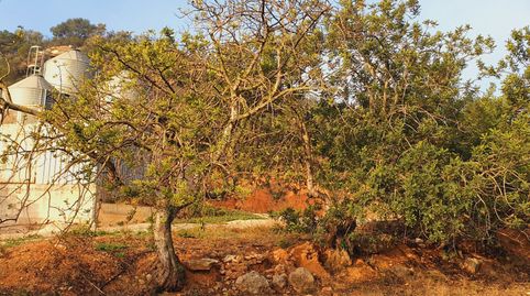Granja en venta en Xerta, imagen 3