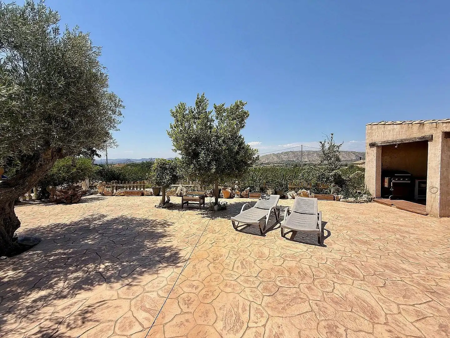 Terrassa de Finca rústica en venda en Villena