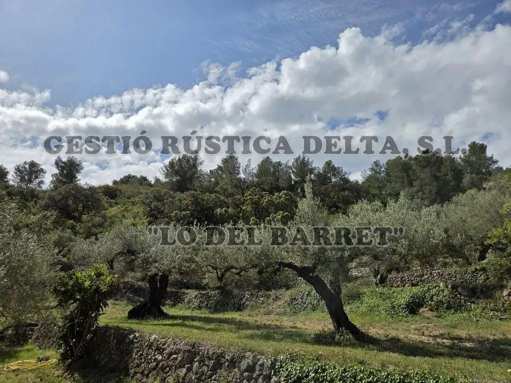 Exterior view of Country homes for sale in Tortosa  with Private garden and Terrace