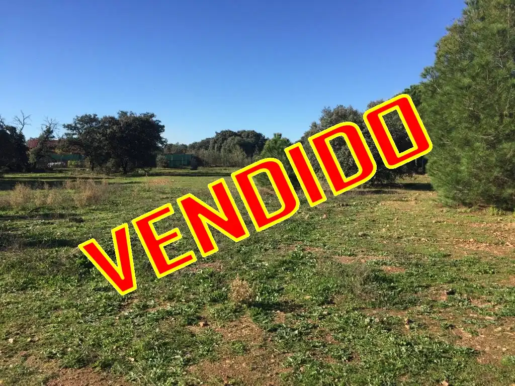 Terreno residenziale in vendita a San Román de los Montes