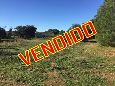 Terreny residencial en venda a San Román de los Montes