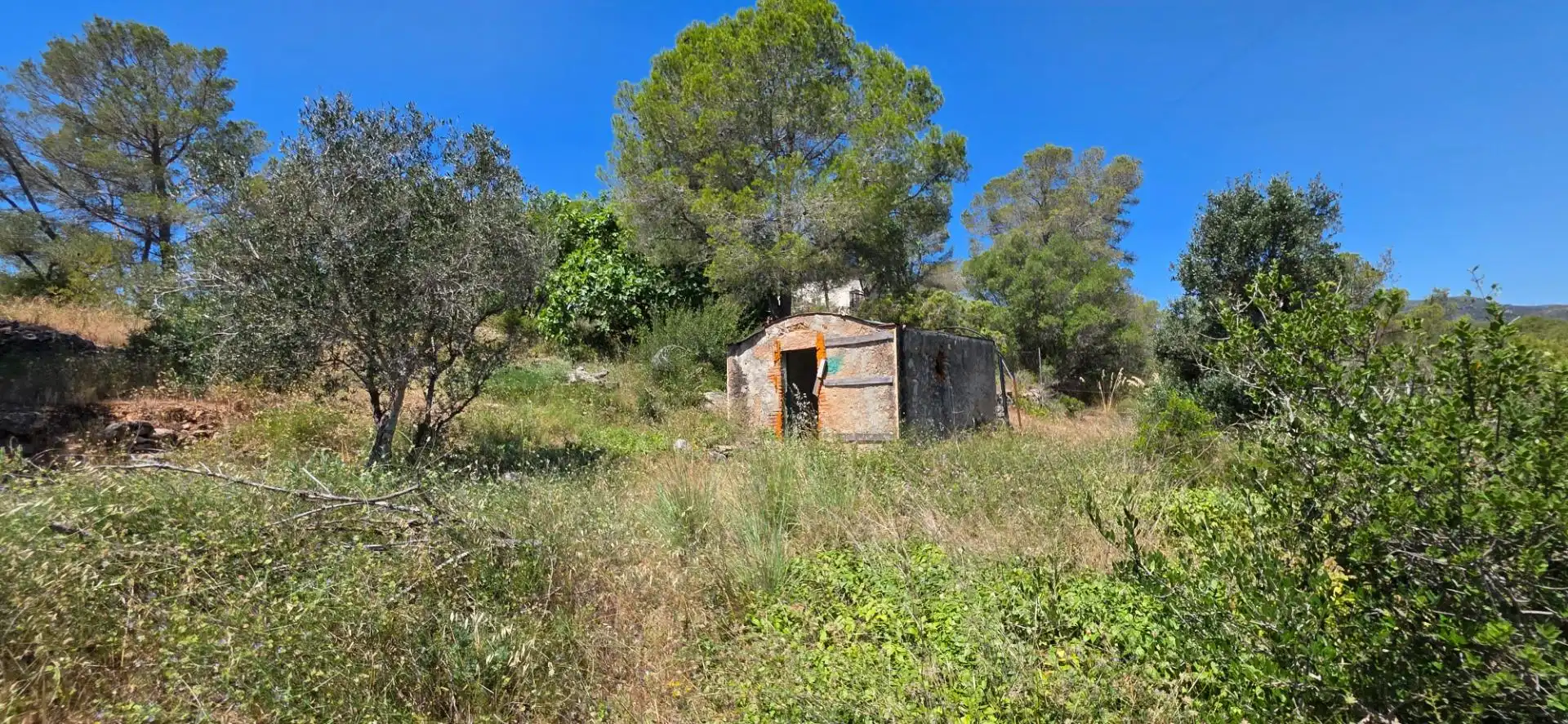 Finca rústica en venta en Vilanova d'Escornalbou con Terraza