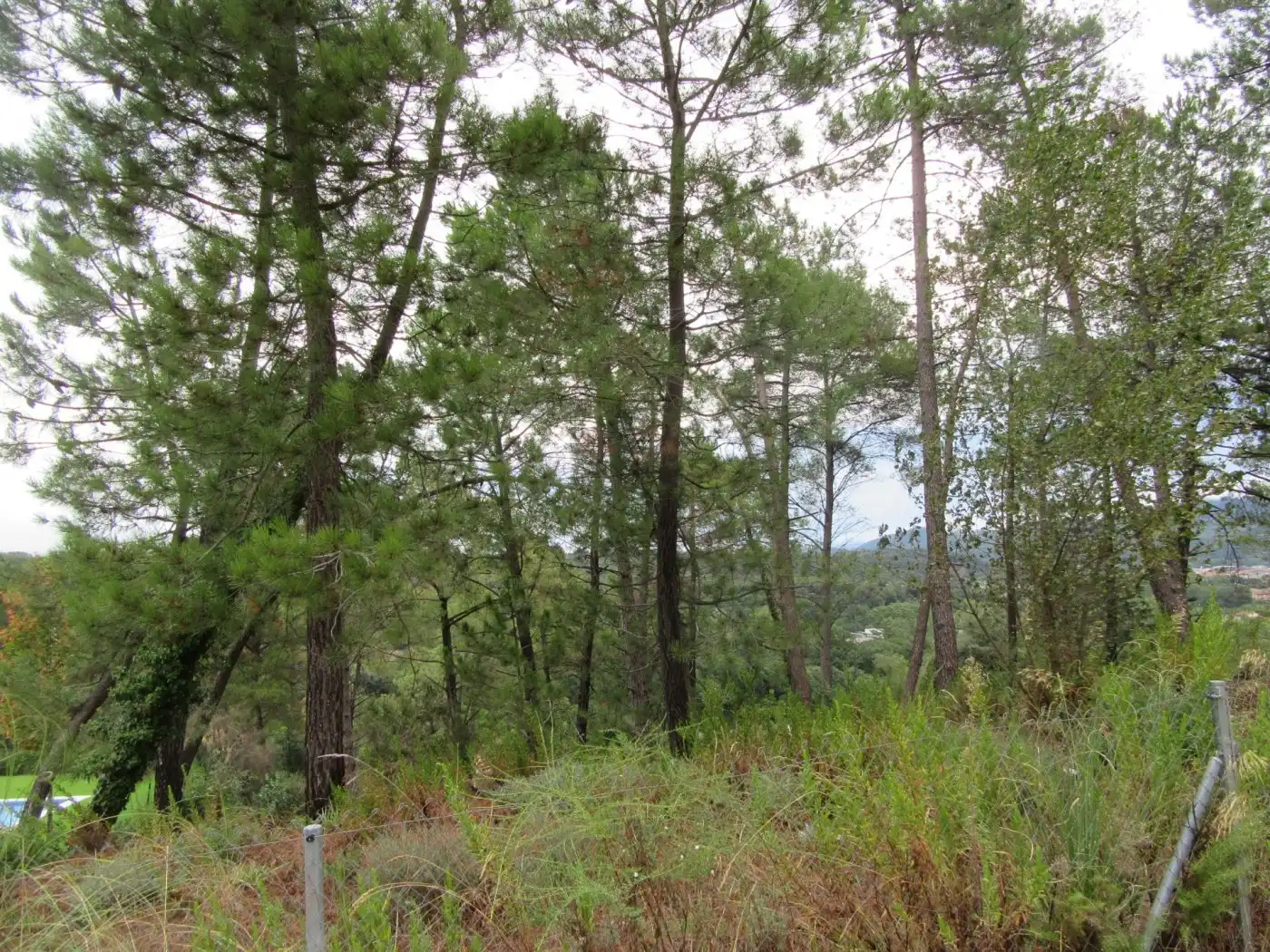 Terreno residenziale in vendita a Sant Celoni, imagen 9