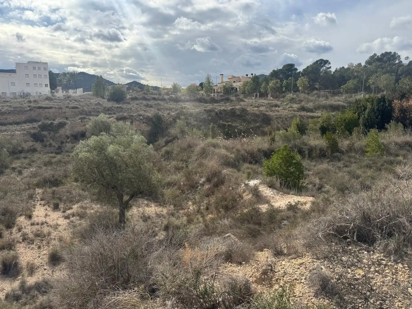 Wohnbaugrundstück zum Verkauf in Monóvar  / Monòver, imagen 8
