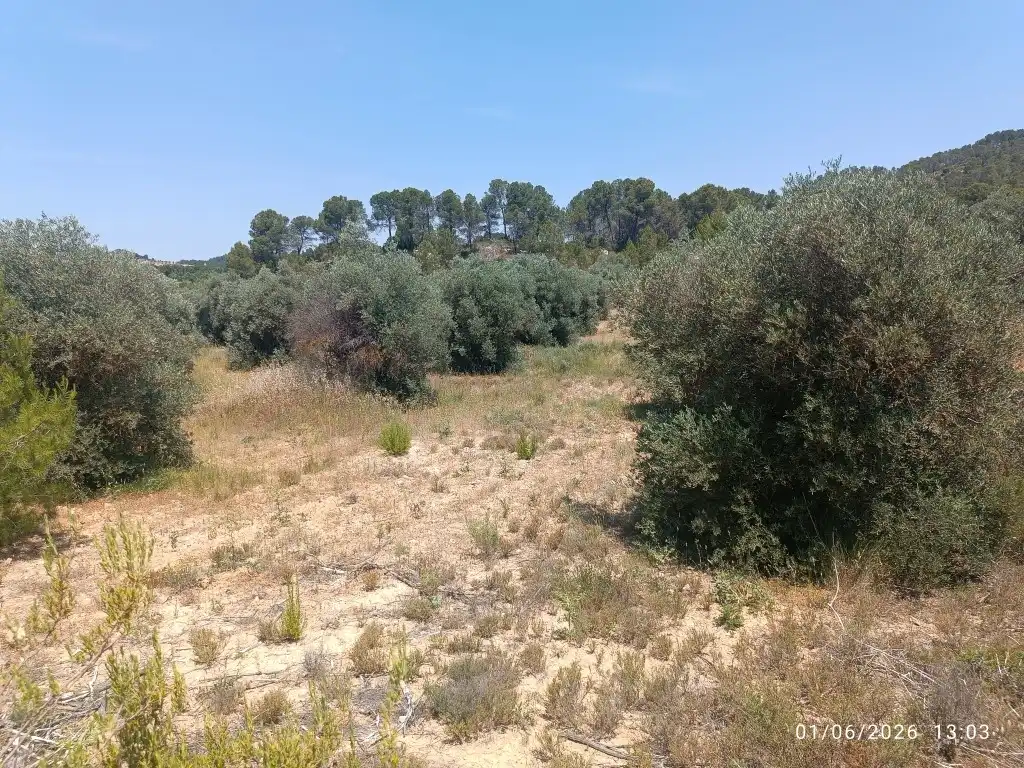 Rural land for sale in N/A, imagen 7
