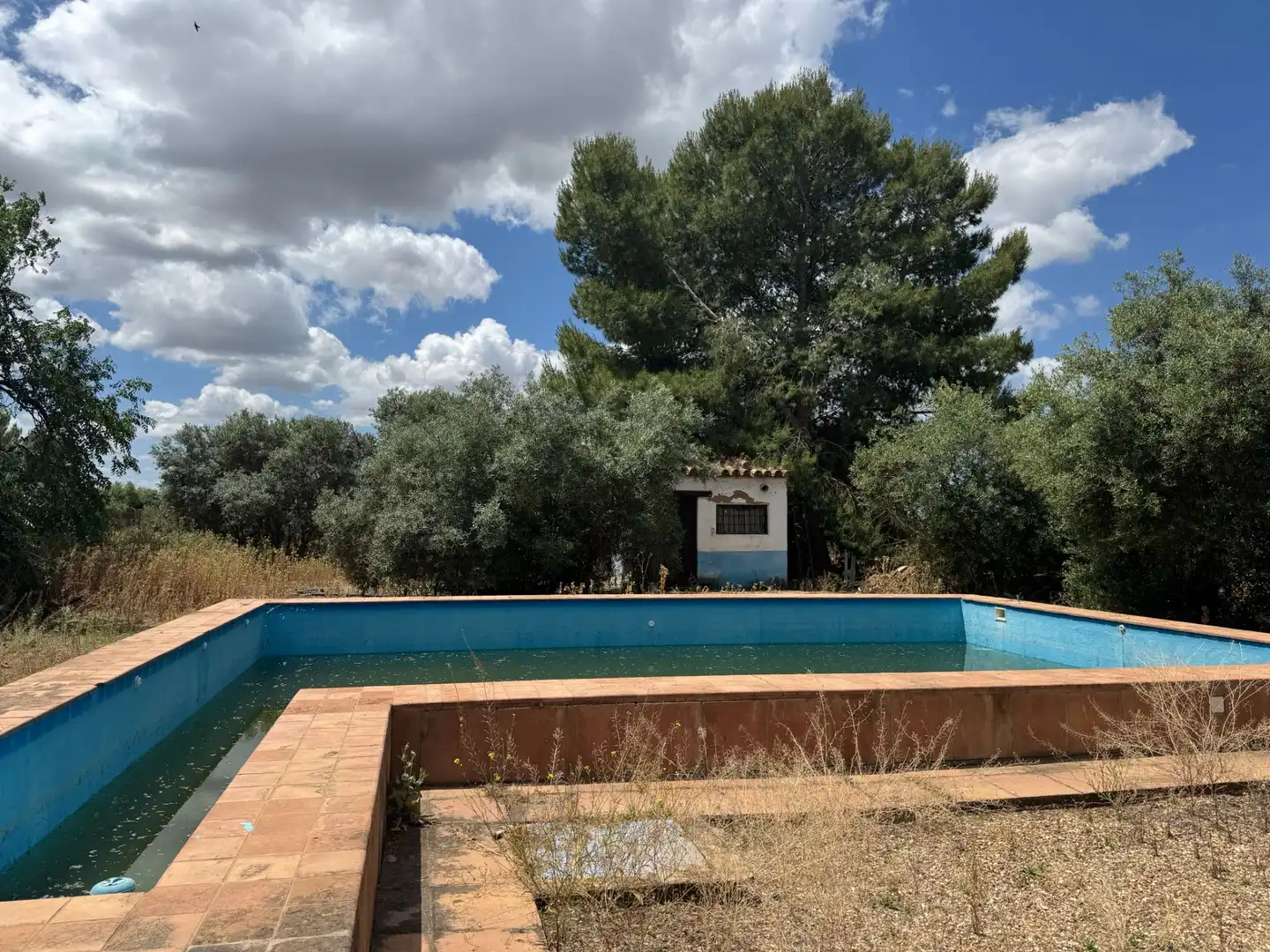 Schwimmbecken von Gebäude zum Verkauf in Marchena mit Gemeinschaftspool