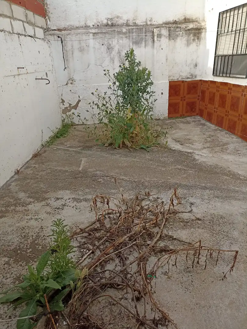 Casa en venta en Guadalcázar, imagen 5