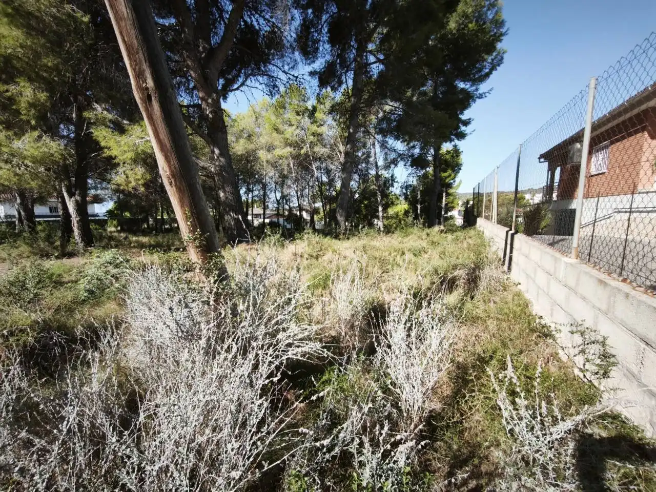 Residential land for sale in Calle Acacias, imagen 13