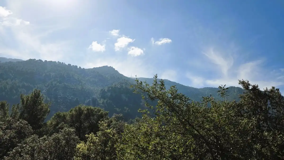 Terreny rústic en venda a Sóller, imagen 14