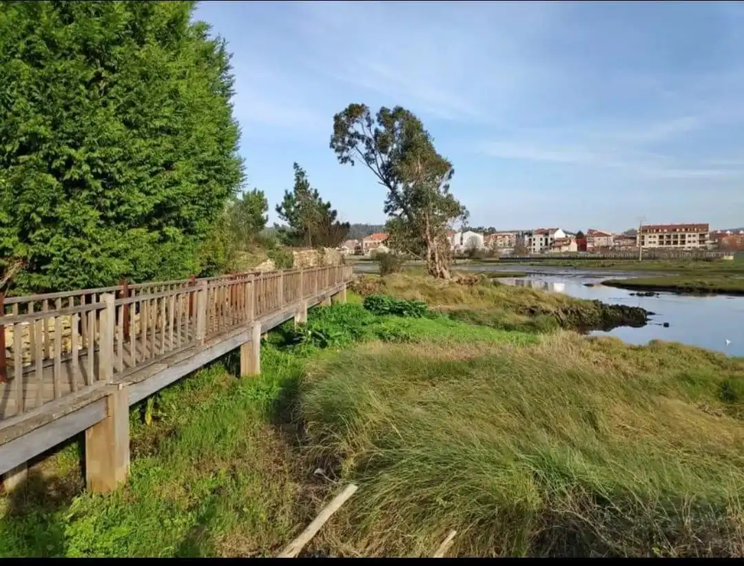 Casa amb terrassa en venda a Cambados, imagen 8