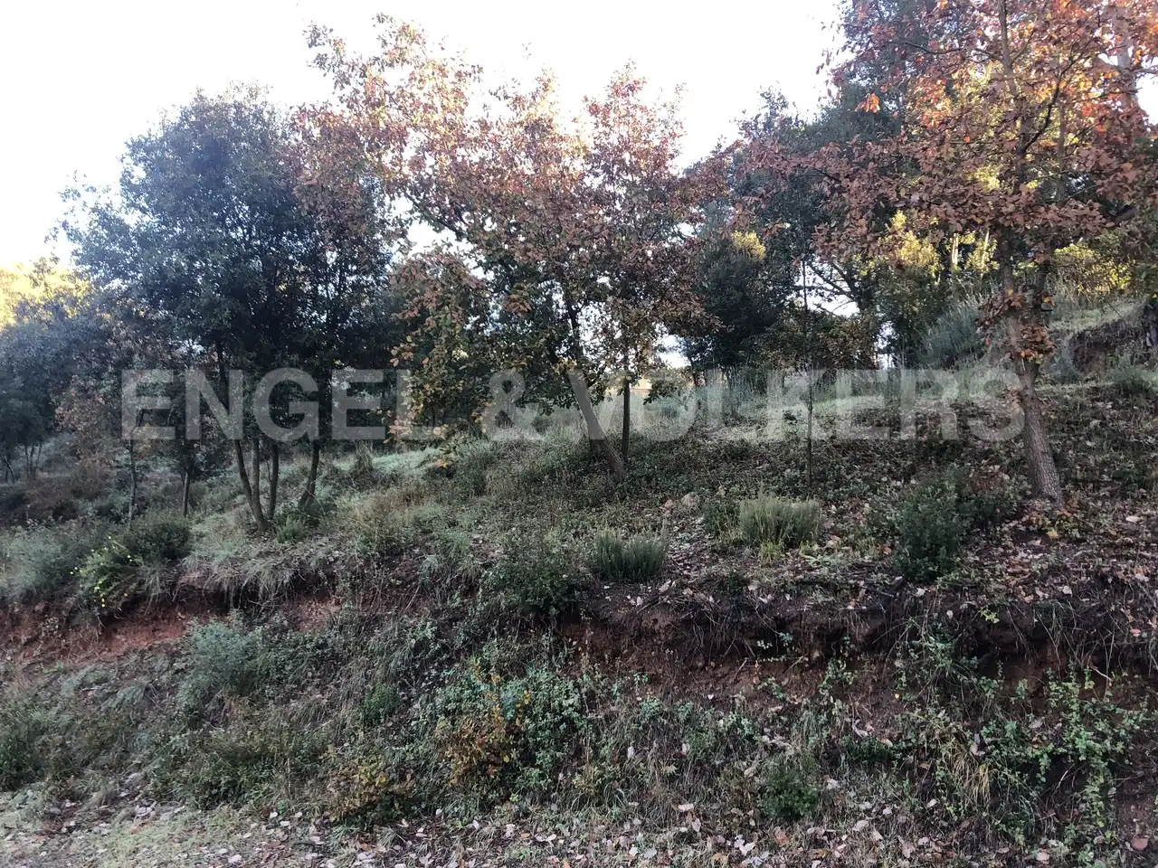 Residential land for sale in Sant Pere de Vilamajor, imagen 5