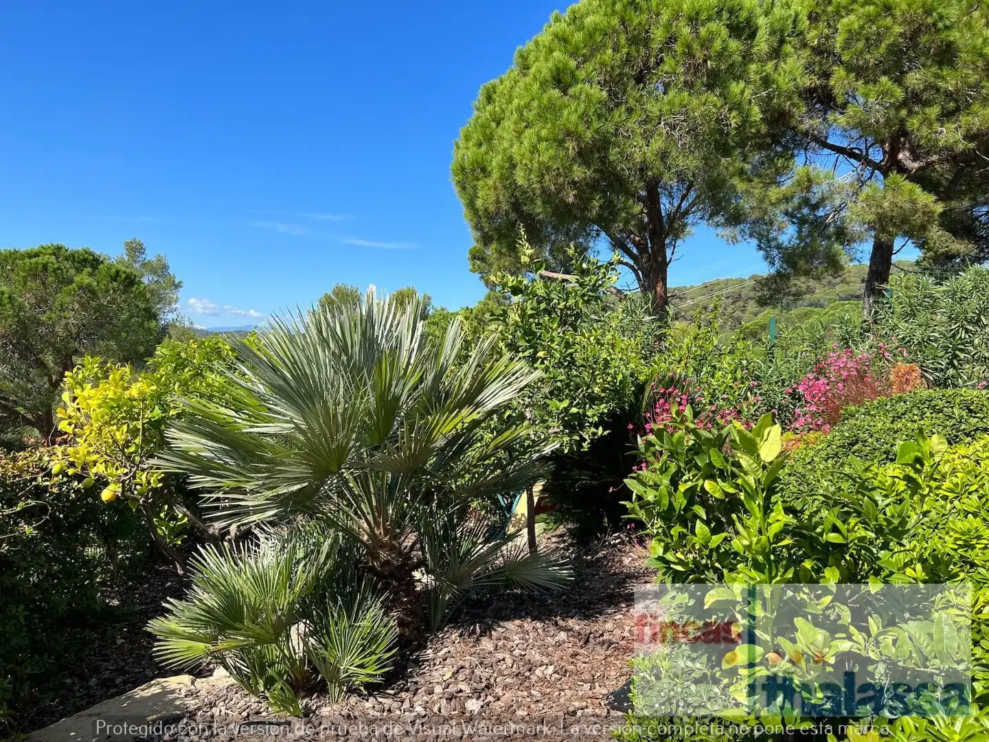 Haus mit Pool zum Verkauf in Roca Grossa, imagen 10