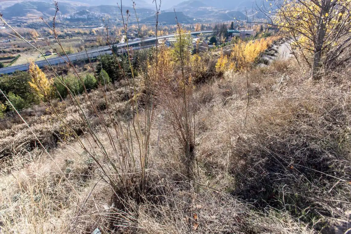 Residential land for sale in Nalda