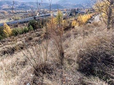 Terreno residenziale in vendita a Nalda