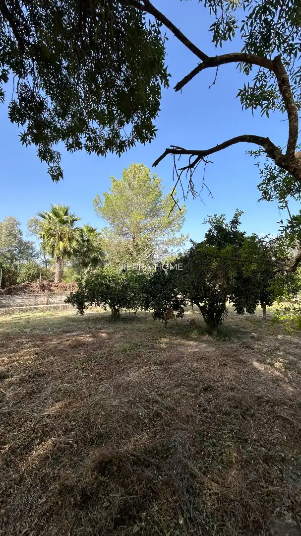 Terreno rustico in vendita a Plaza de la Constitución, imagen 9