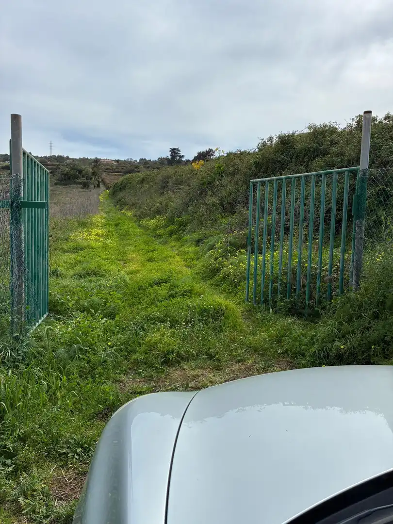 Terreny rústic en venda a El Sauzal, imagen 6