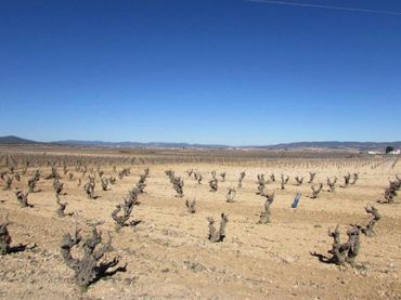 Rustikales Grundstück zum Verkauf in Calle Fray Elias Requena 3
