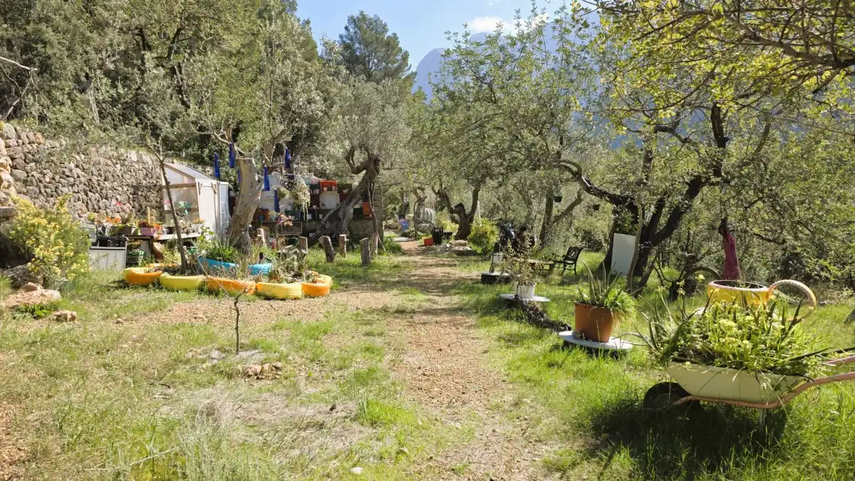 Terreny rústic en venda a Sóller, imagen 2
