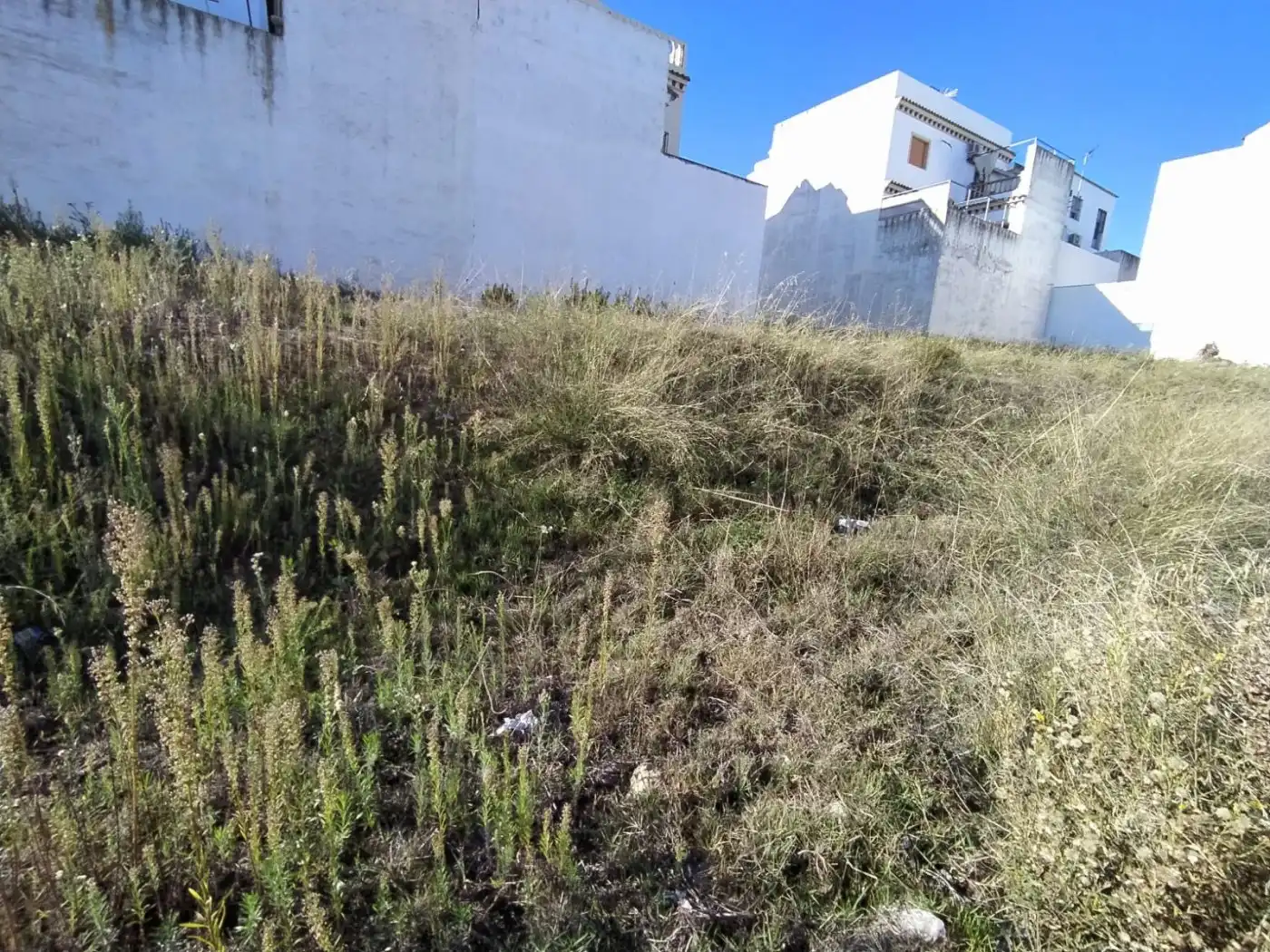 Terreno residencial en venta en Arcos de la Frontera, imagen 4