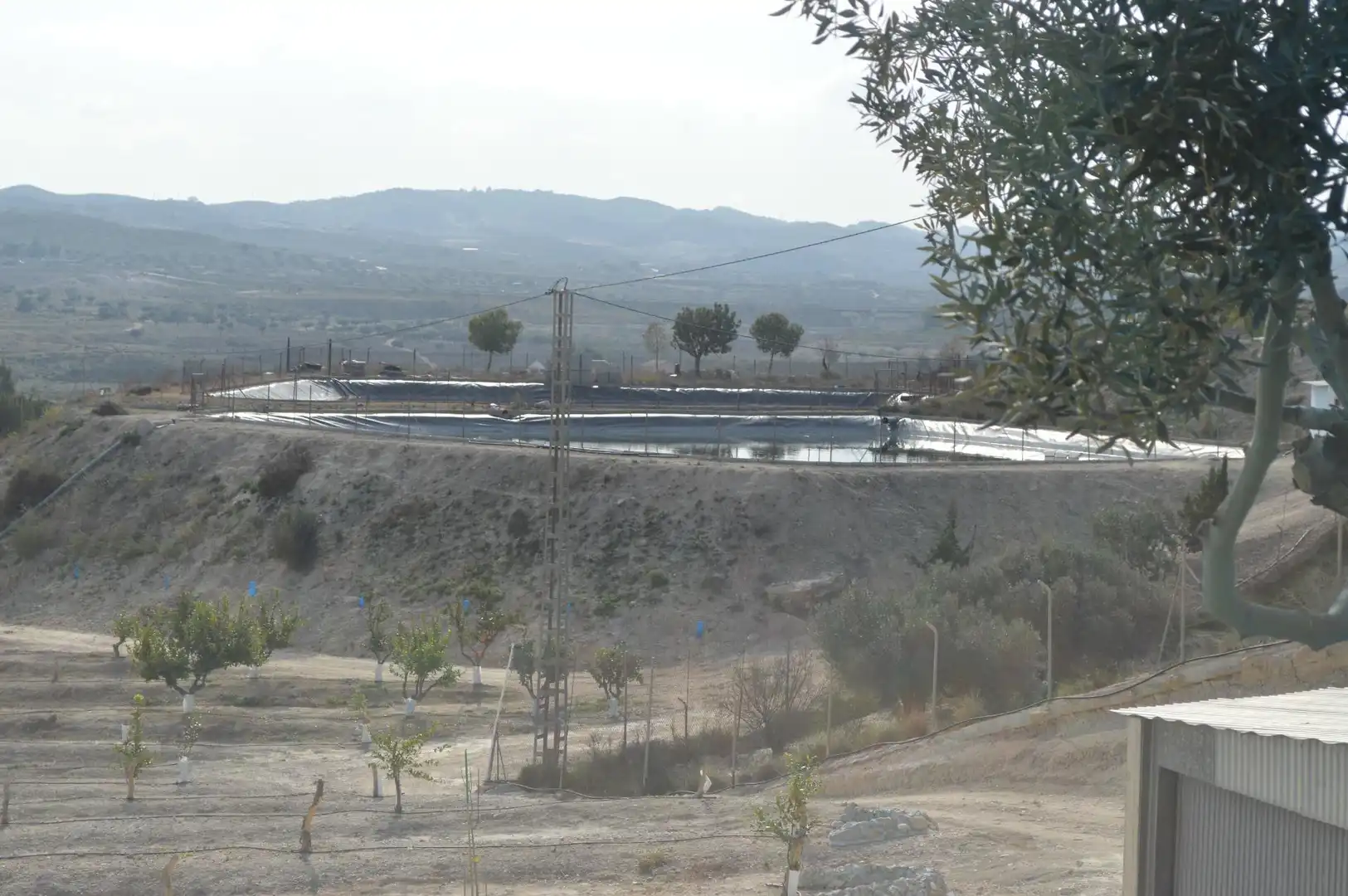 Außenansicht von Residential zum Verkauf in Las Torres de Cotillas