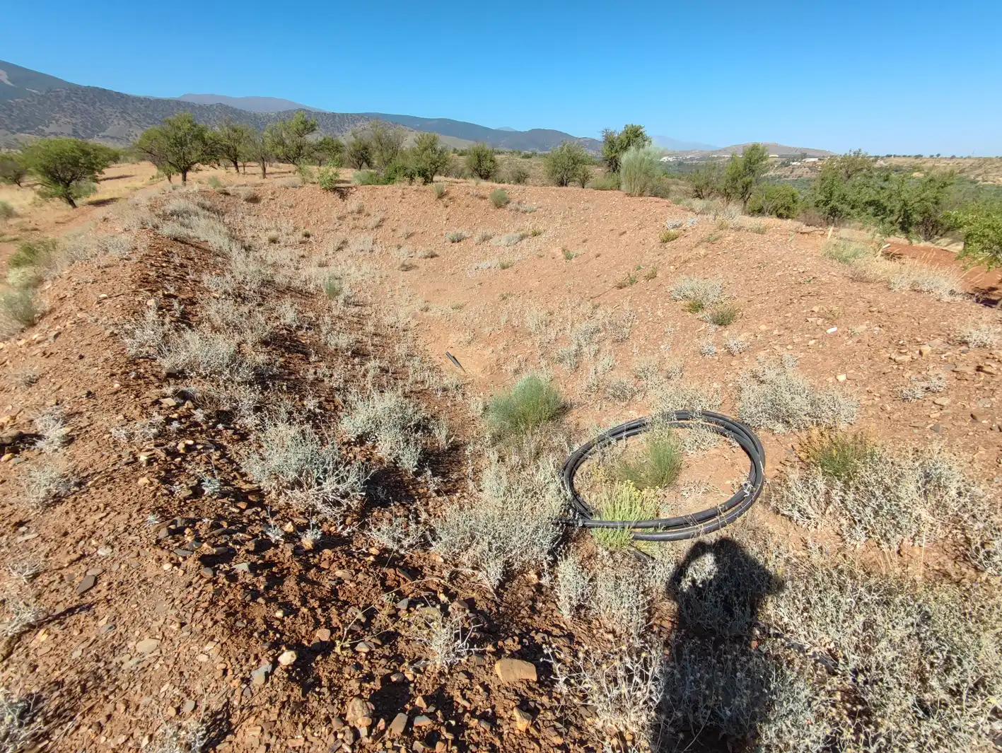 Land for sale in Huéneja