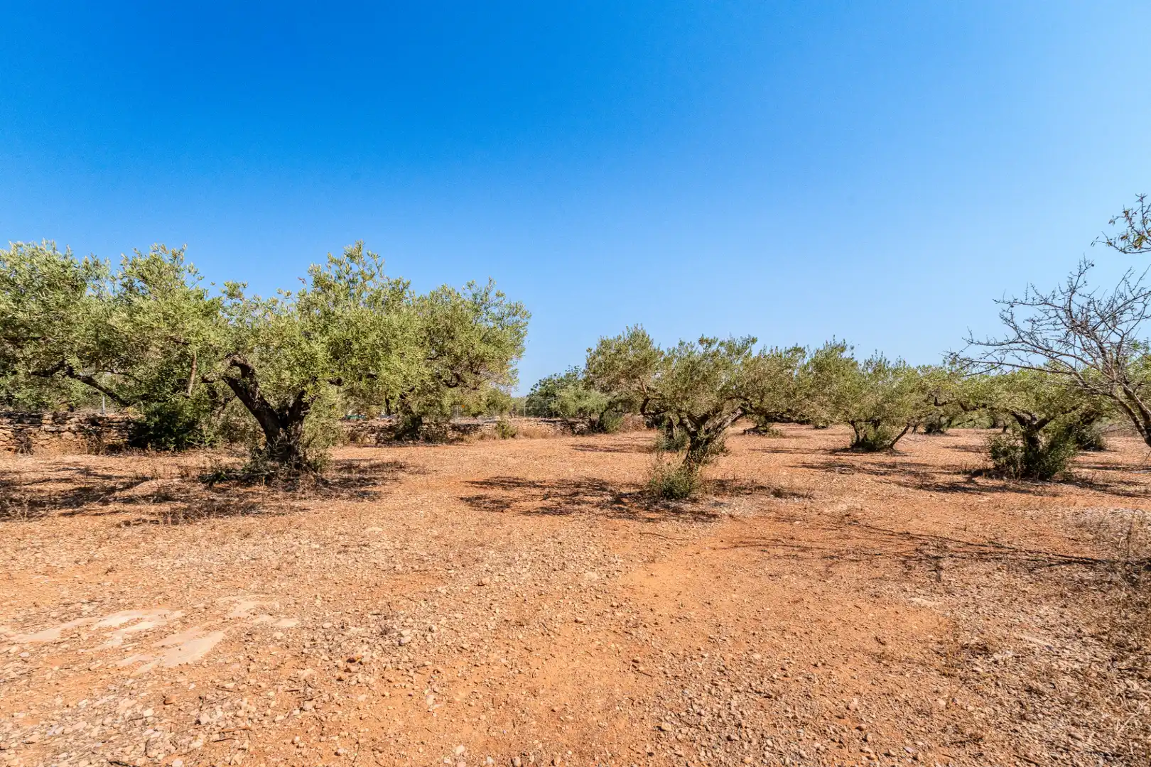 Houses for sale in L'Ampolla  with Private garden, Terrace and Storage room
