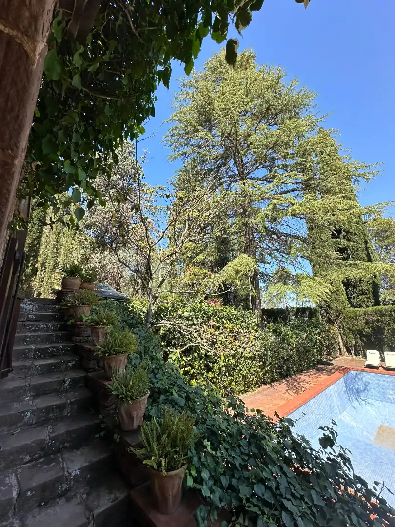 House with terrace for sale in Carrer del Doctor Peris 1, imagen 52
