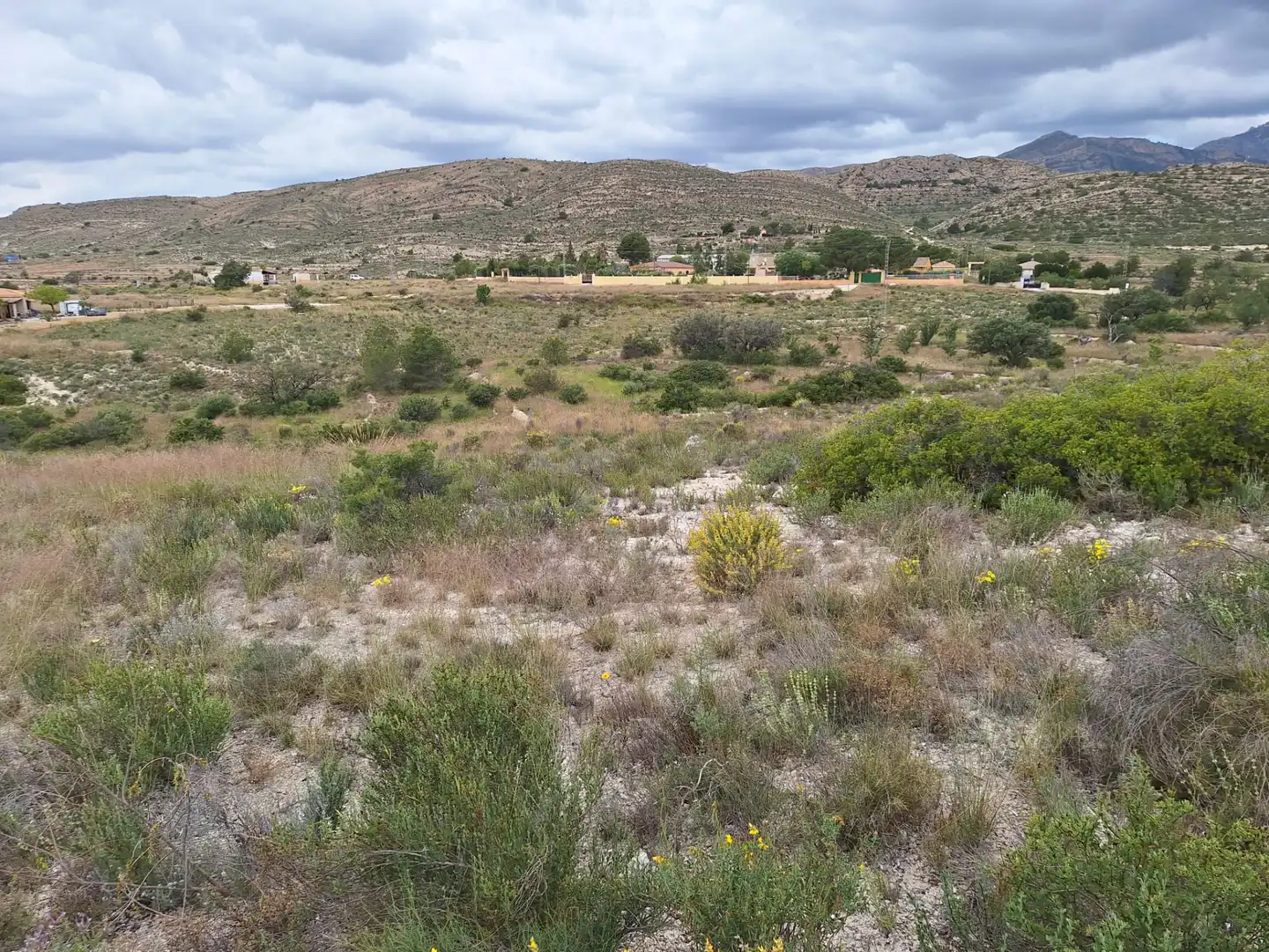 Terreny en venda en Alicante / Alacant