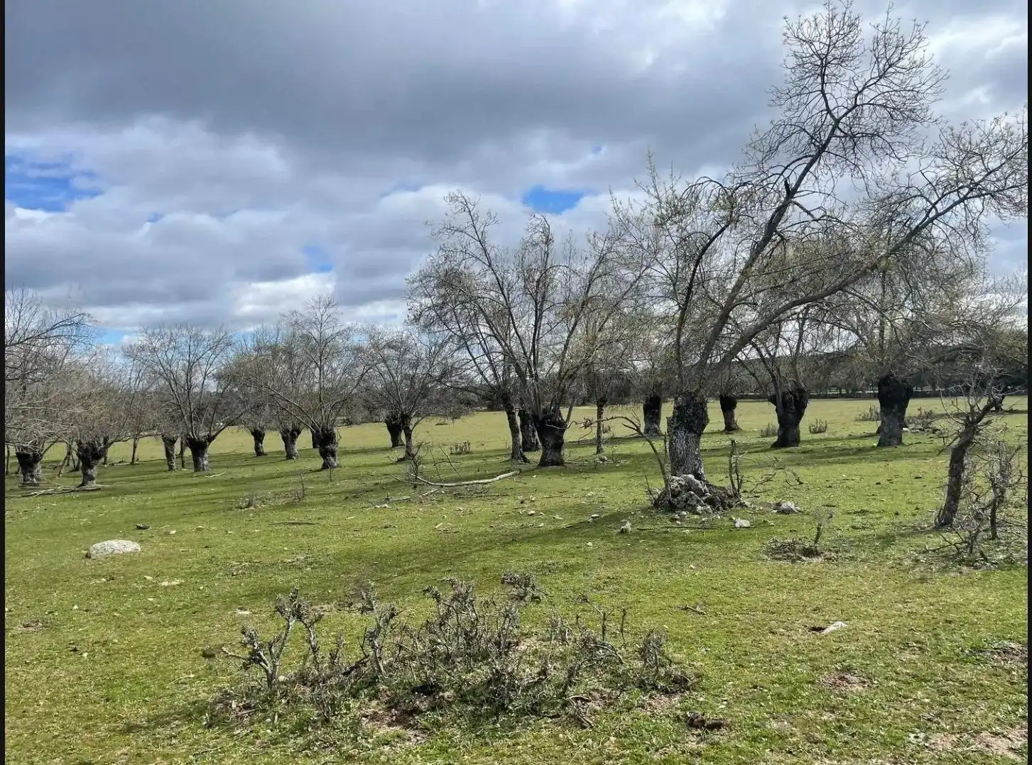 Terreno en venta en Galapagar
