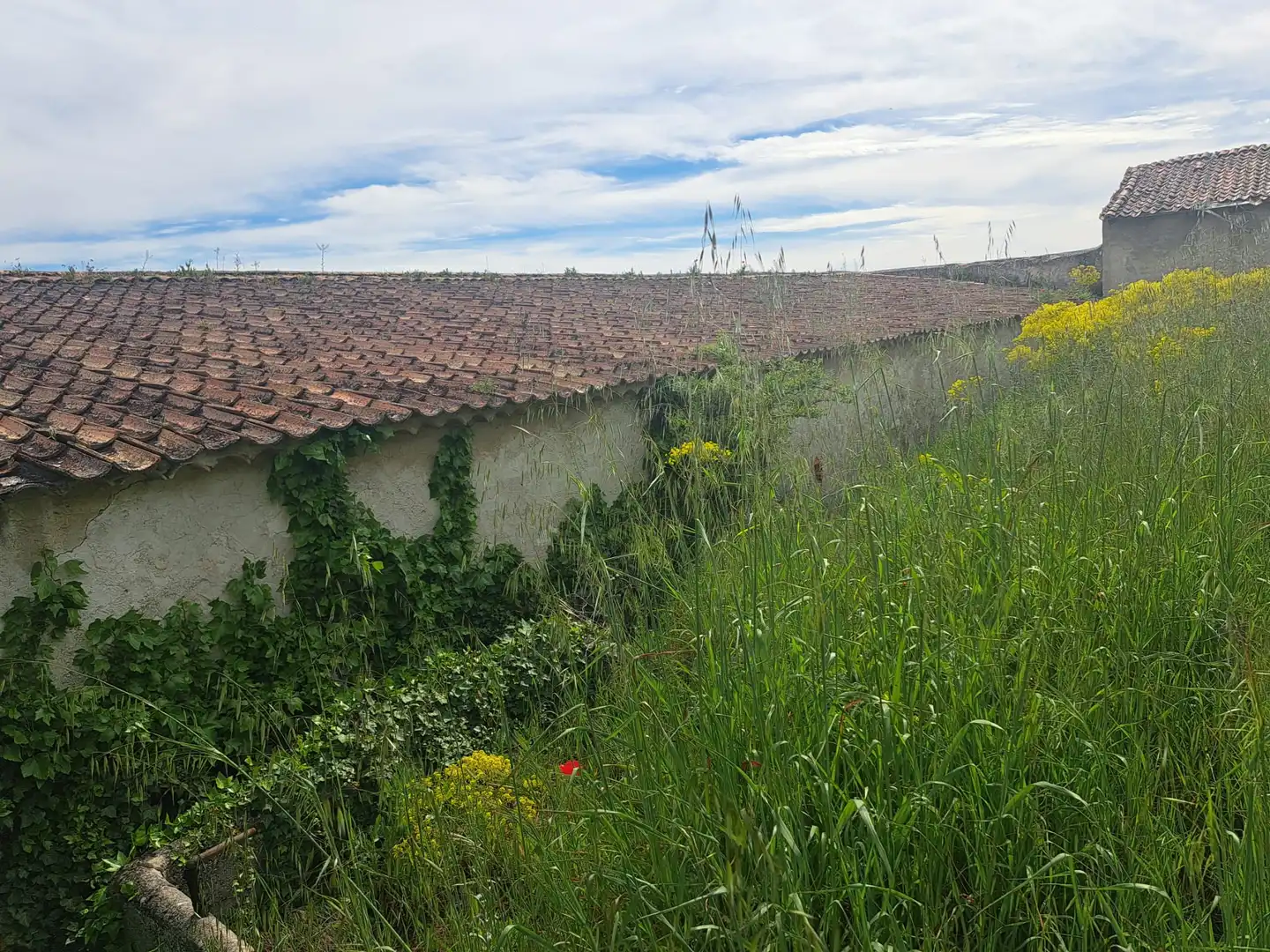 Residential zum Verkauf in Montemayor de Pililla