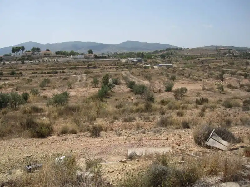 Terreno rustico in vendita a Petrer