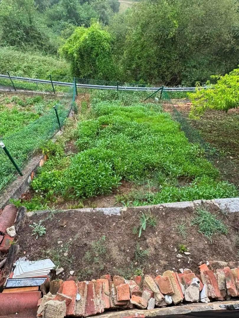 House with garden for sale in Zona Rural