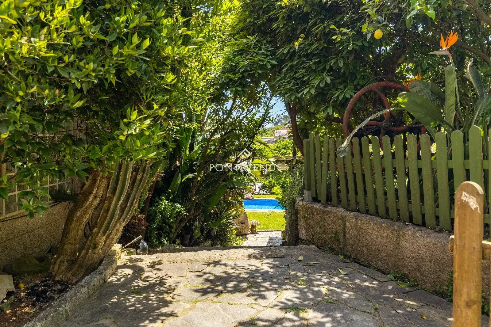 Jardí de Casa o xalet en venda en Pontevedra Capital  amb Terrassa, Traster i Piscina