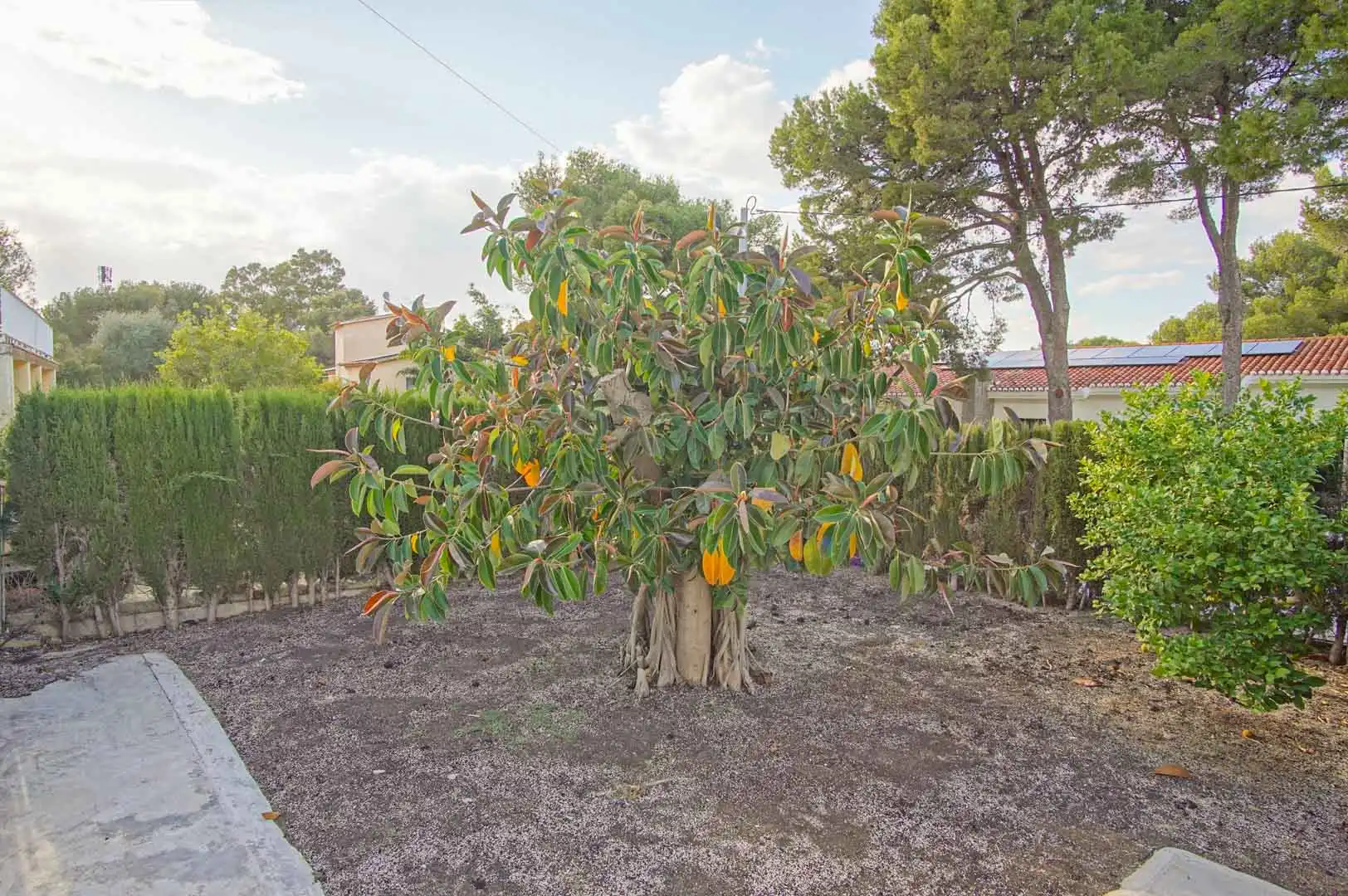 Garden of Houses for sale in Dénia  with Private garden and Balcony