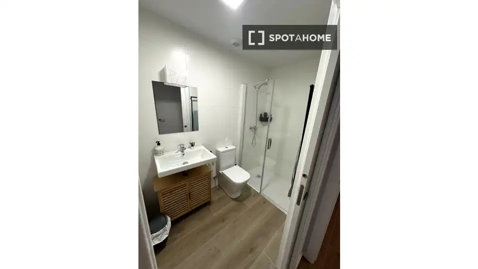 Baño de Apartamento para compartir en Pasaia con Aire acondicionado, Terraza y Amueblado