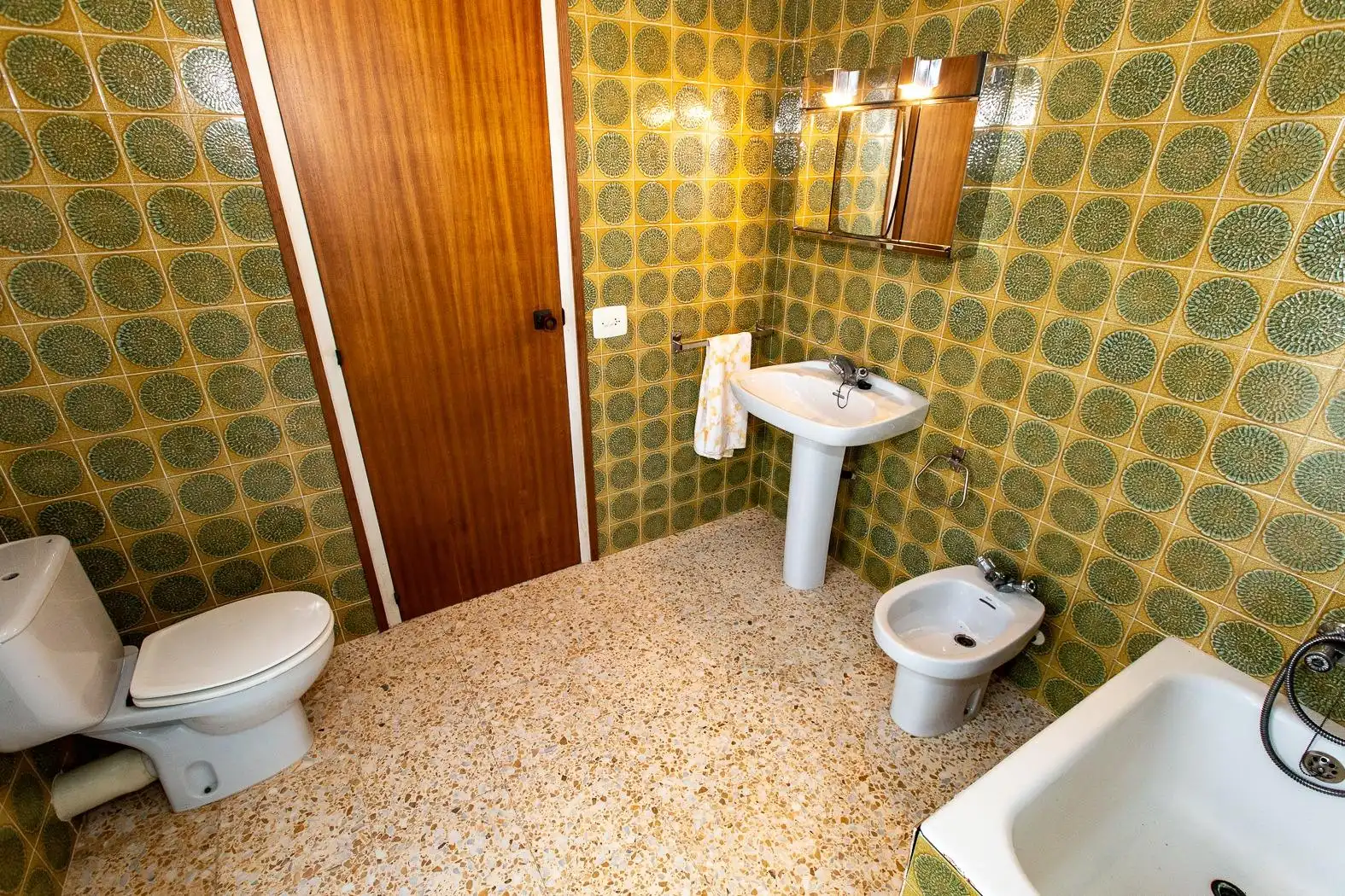 Casa o chalet en venta en Alcanar