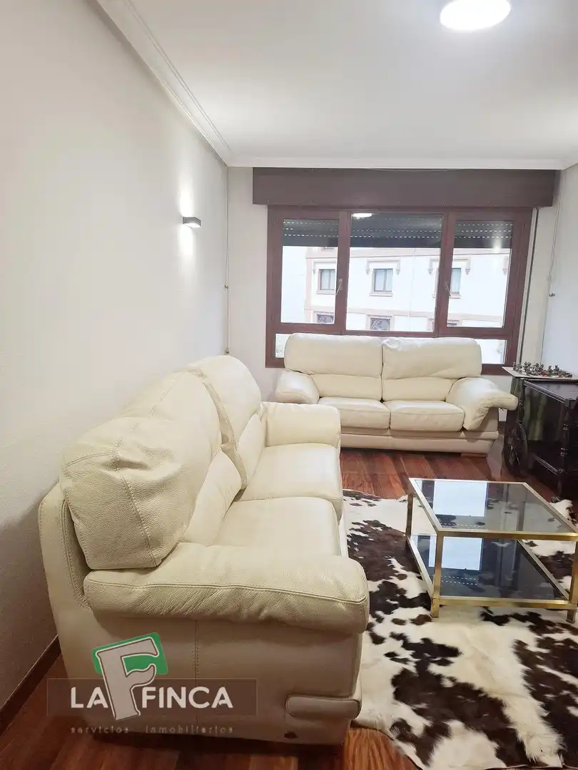 Sala de estar de Apartamento de alquiler en Oviedo  con Calefacción, Parquet y Terraza