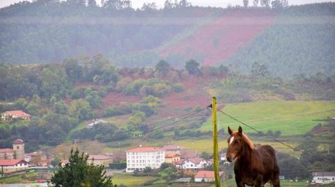 Photo 3 of Land for sale in Urduliz, Bizkaia