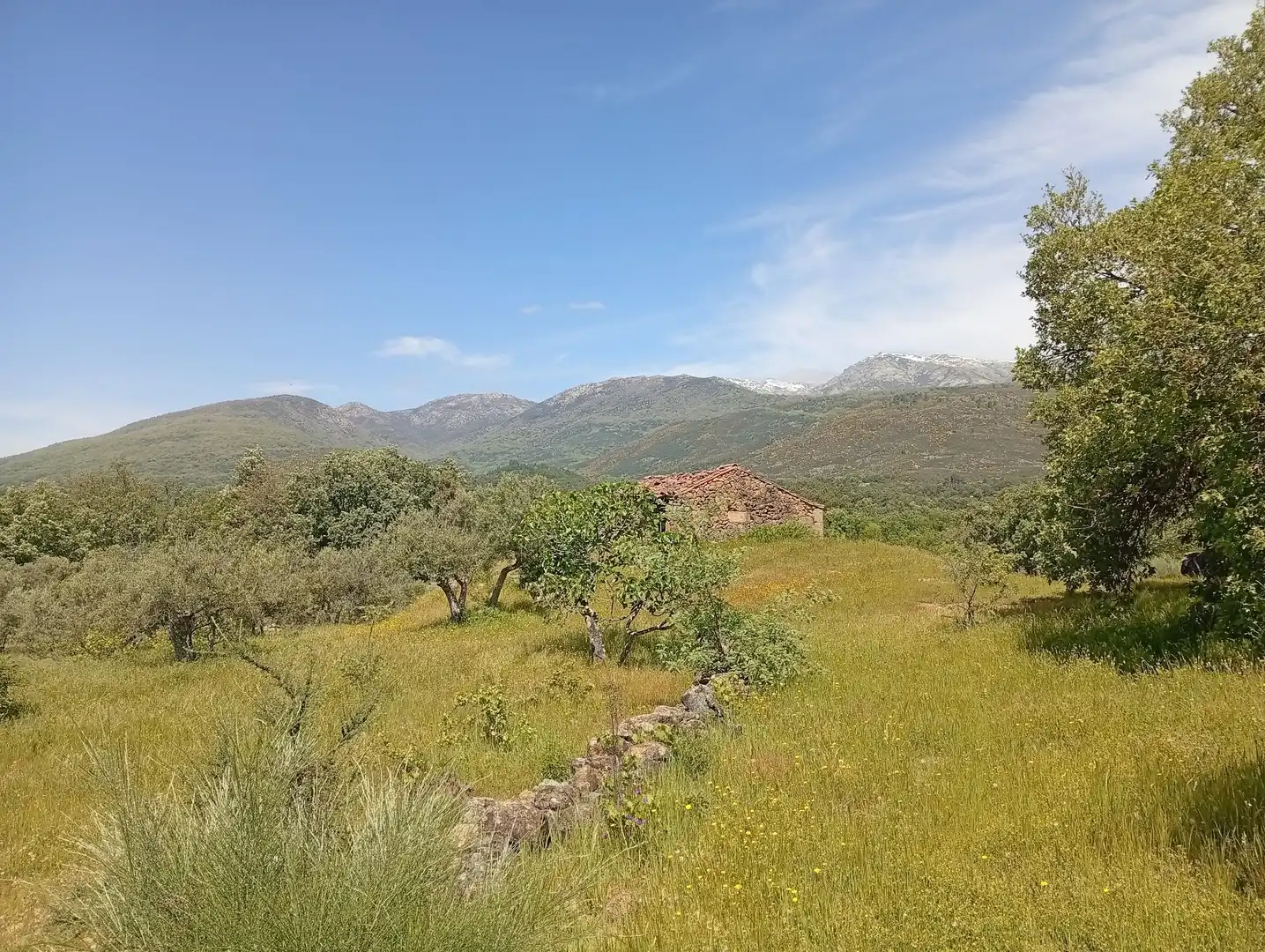 Terreni e lotti in vendita a Villanueva de la Vera, imagen 15