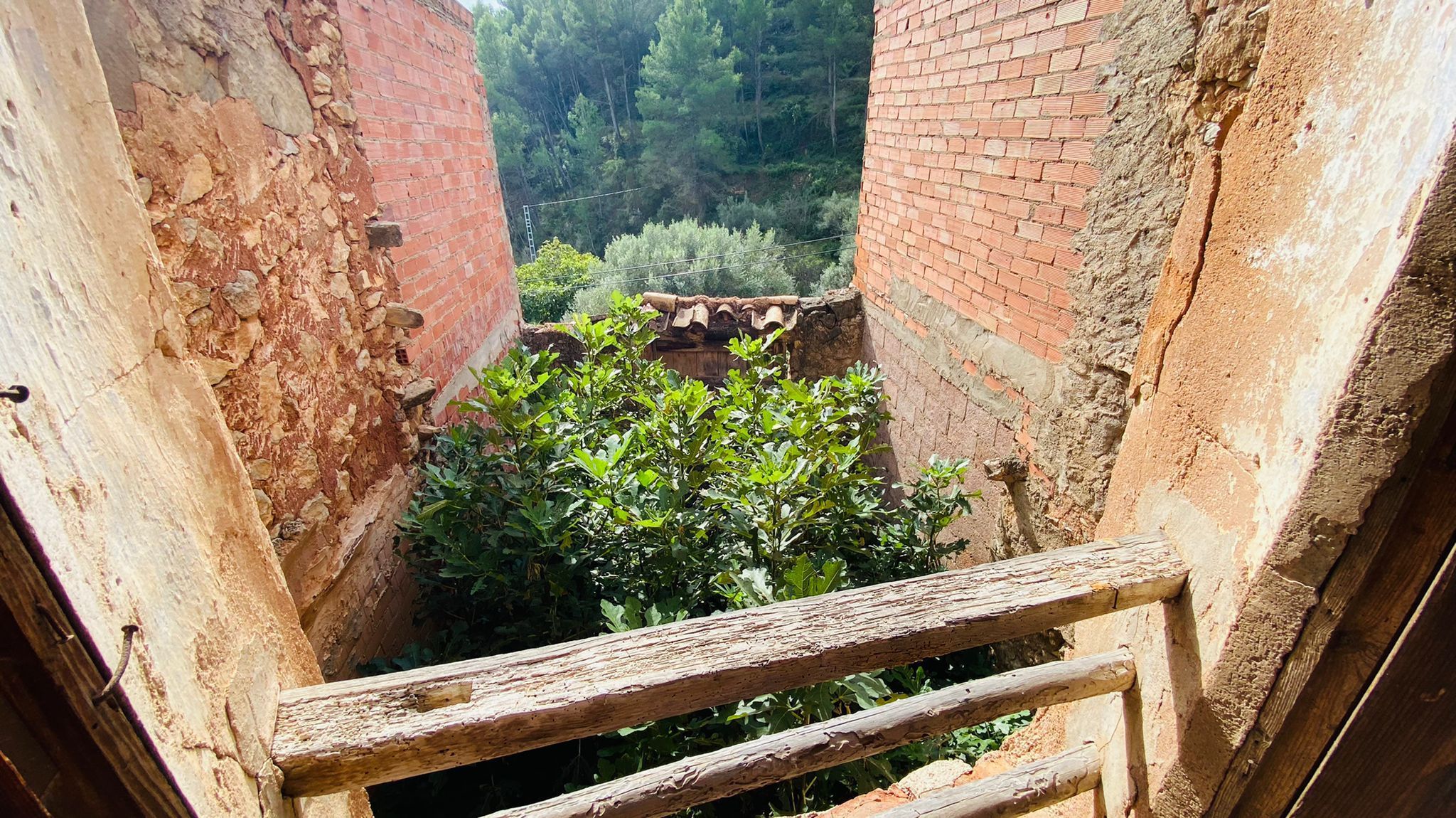 Garden of House or chalet for sale in Cirat  with Terrace and Storage room