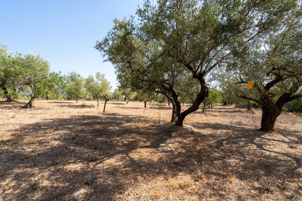 Terrain rustique à vendre à Carrer Barceloneta 15, imagen 3