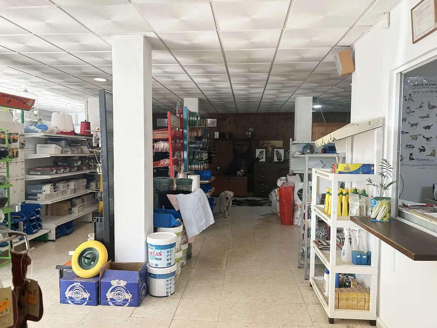 Gewerbefläche zum Verkauf in Tarifa ciudad, imagen 12