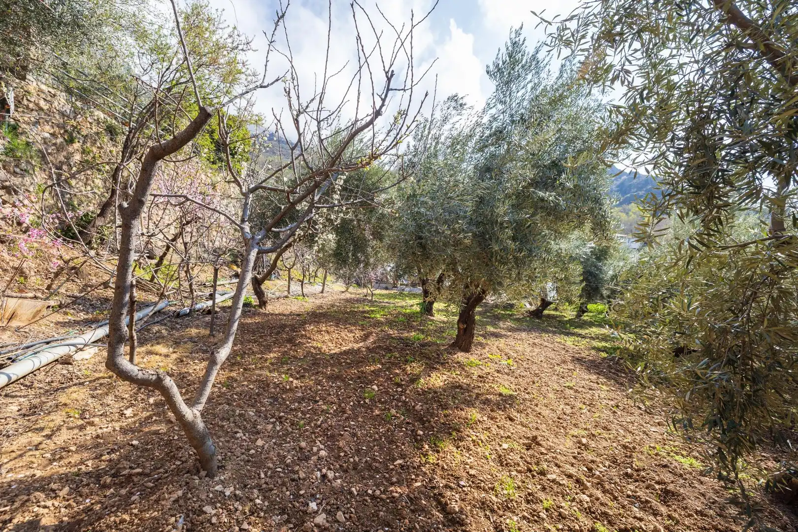 Casa o chalet en venta en Güéjar Sierra con Jardín privado, Trastero y Piscina