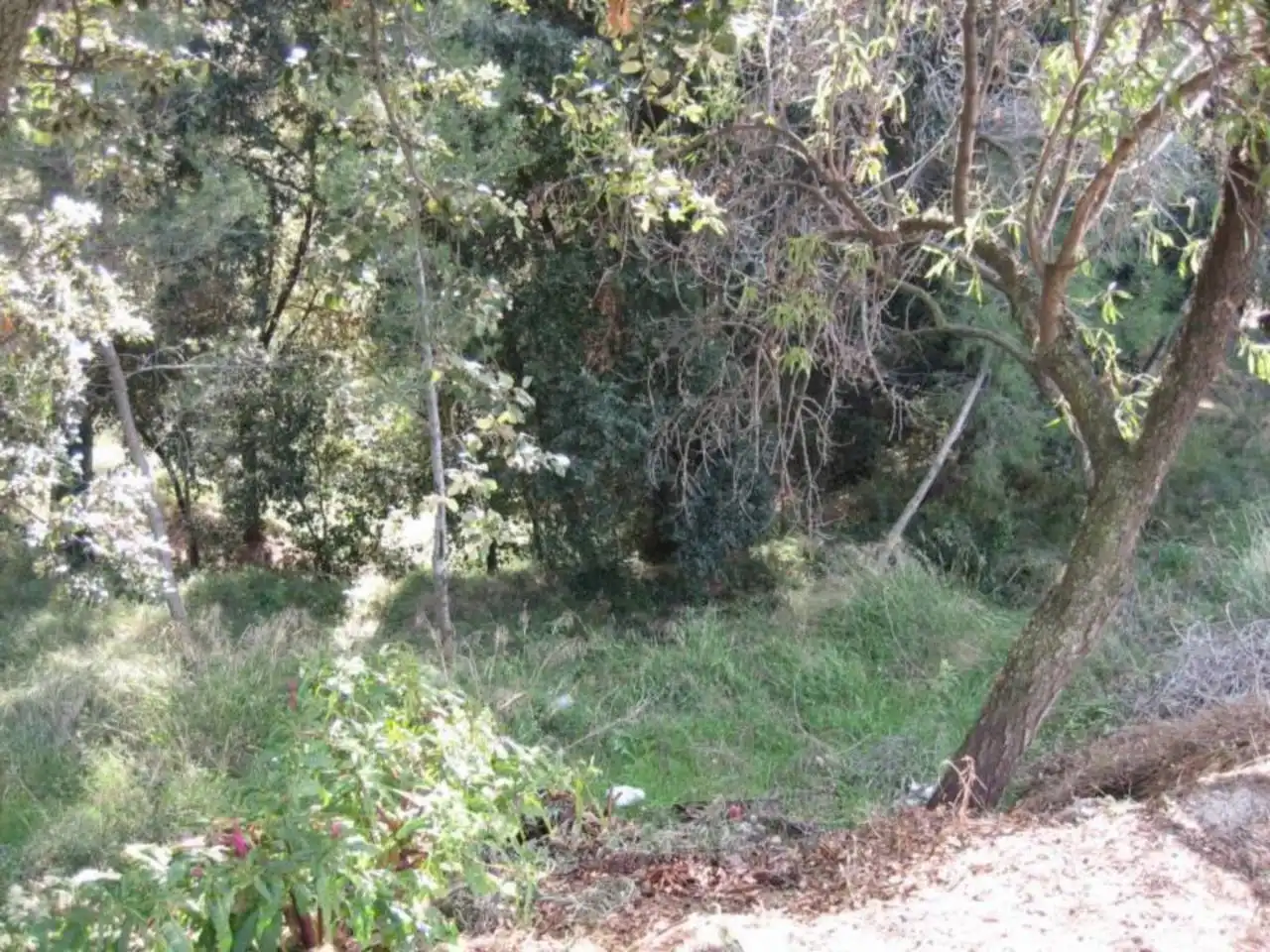 Wohnbaugrundstück zum Verkauf in Avenida MONTBUI 50, imagen 4