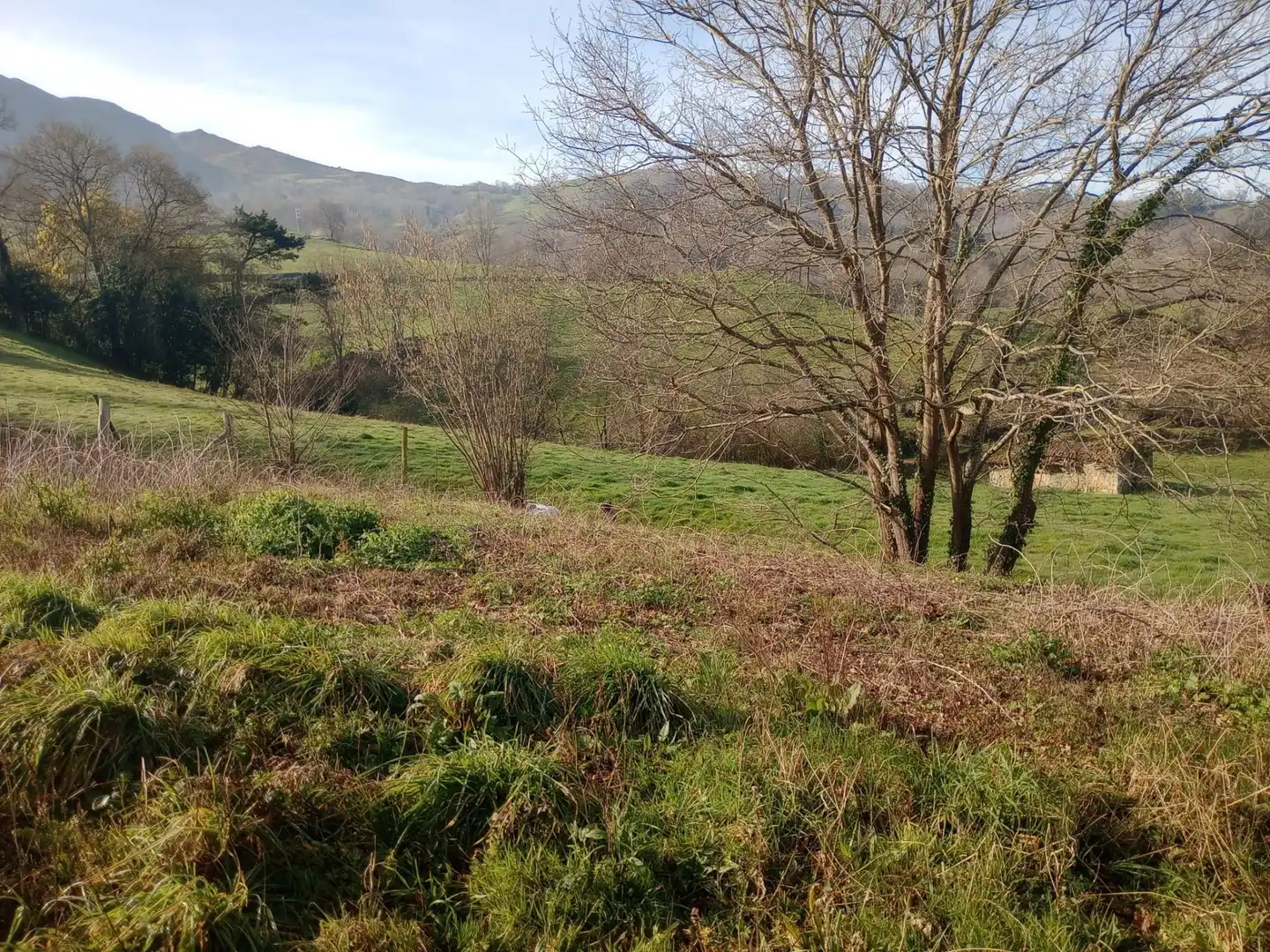 Terrenos y solares en venta en Parres, imagen 7