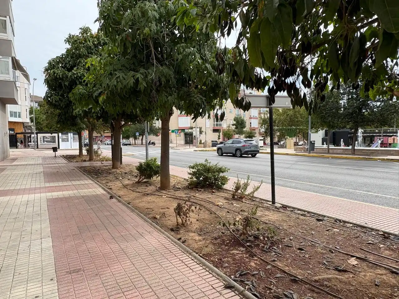 Local comercial en alquiler en Avenida Castellon 68, imagen 3