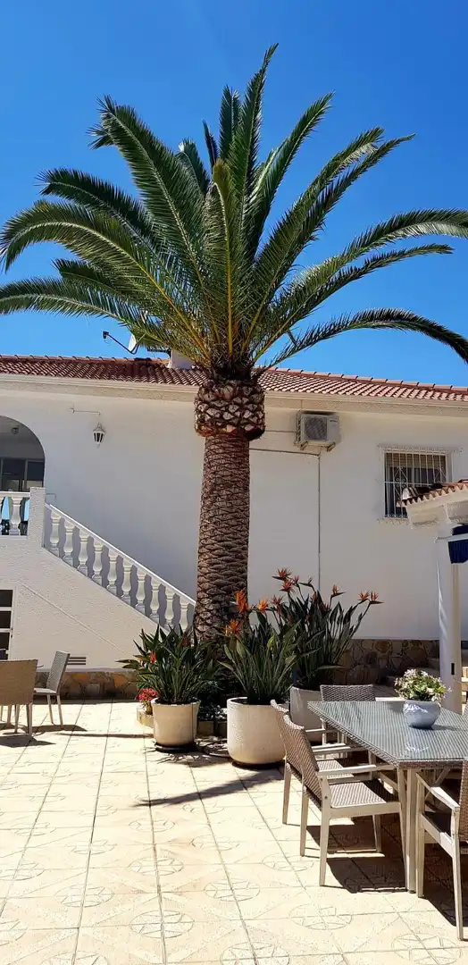 Detached house with pool for sale in Rojales, imagen 11