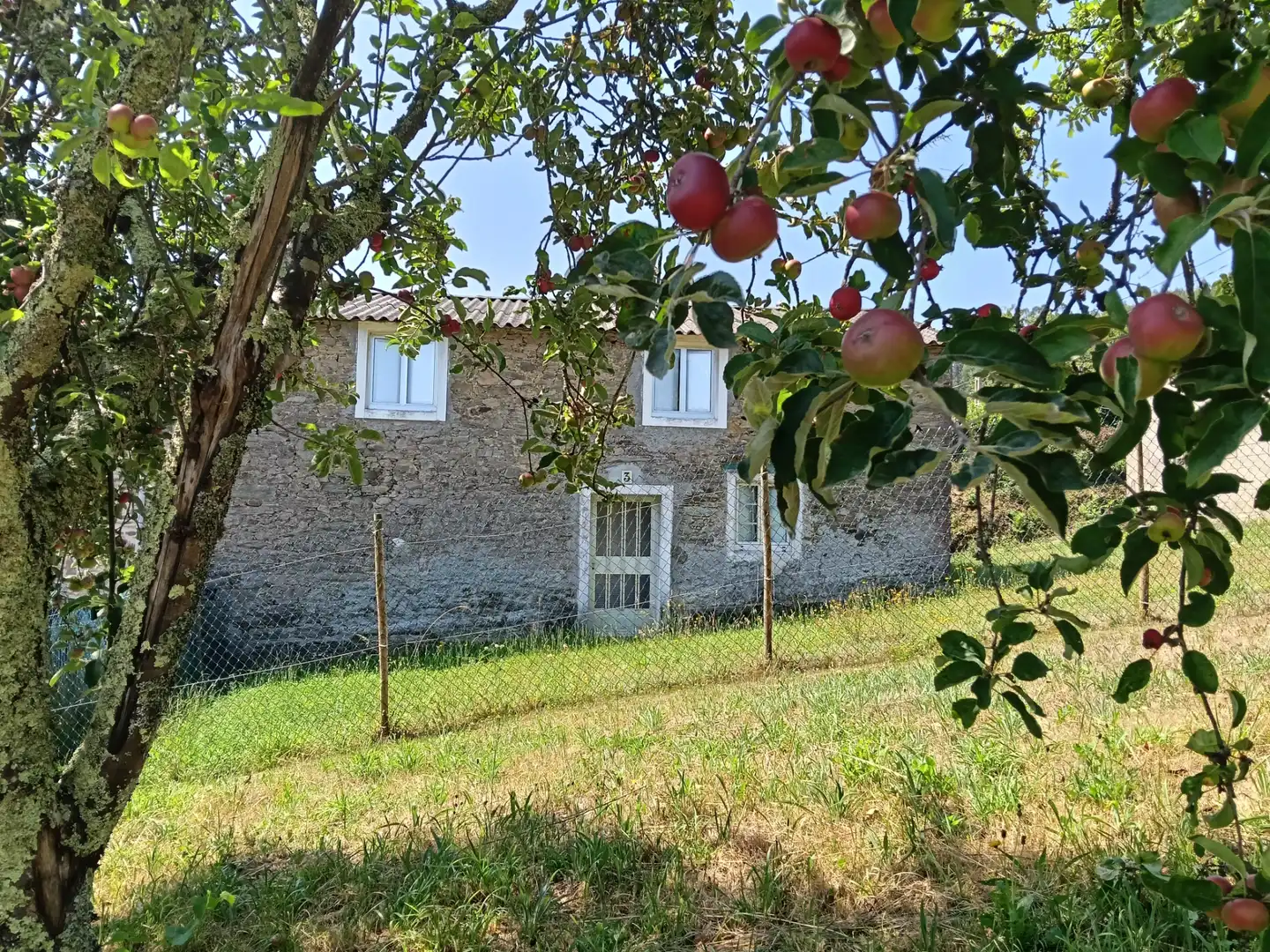 Adossat amb jardí en venda a Cesuras, imagen 2