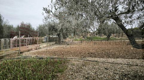 Photo 4 of Country house for sale in  Poligono 17, Pueblo, Benicarló